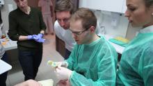 Dentista.pl Edukacja już działa!